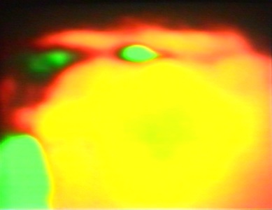 SF_Still_1